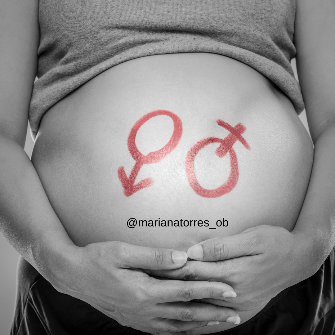 barriga grávida com simbolo feminino e masculino