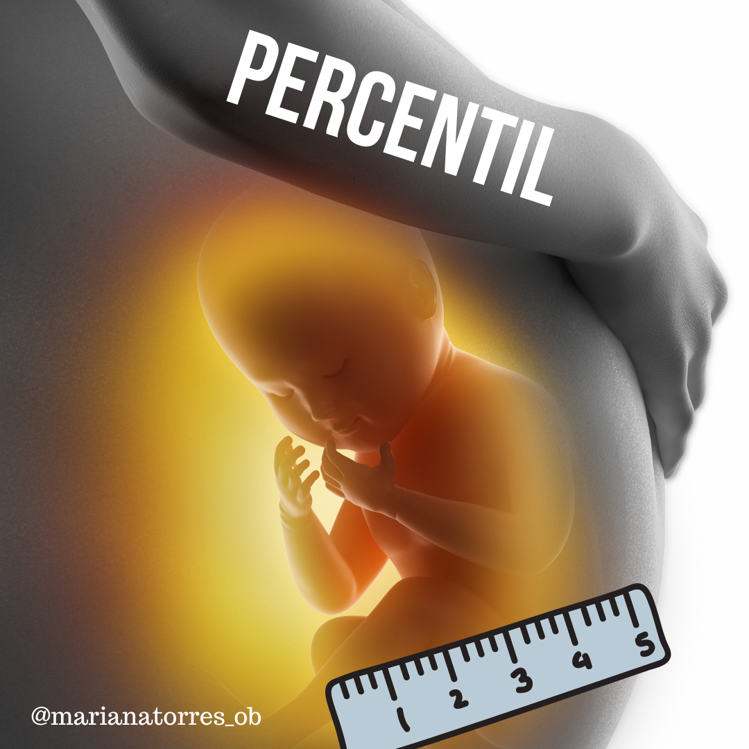 percentil fetal, bebe dentro da barriga junto de uma régua