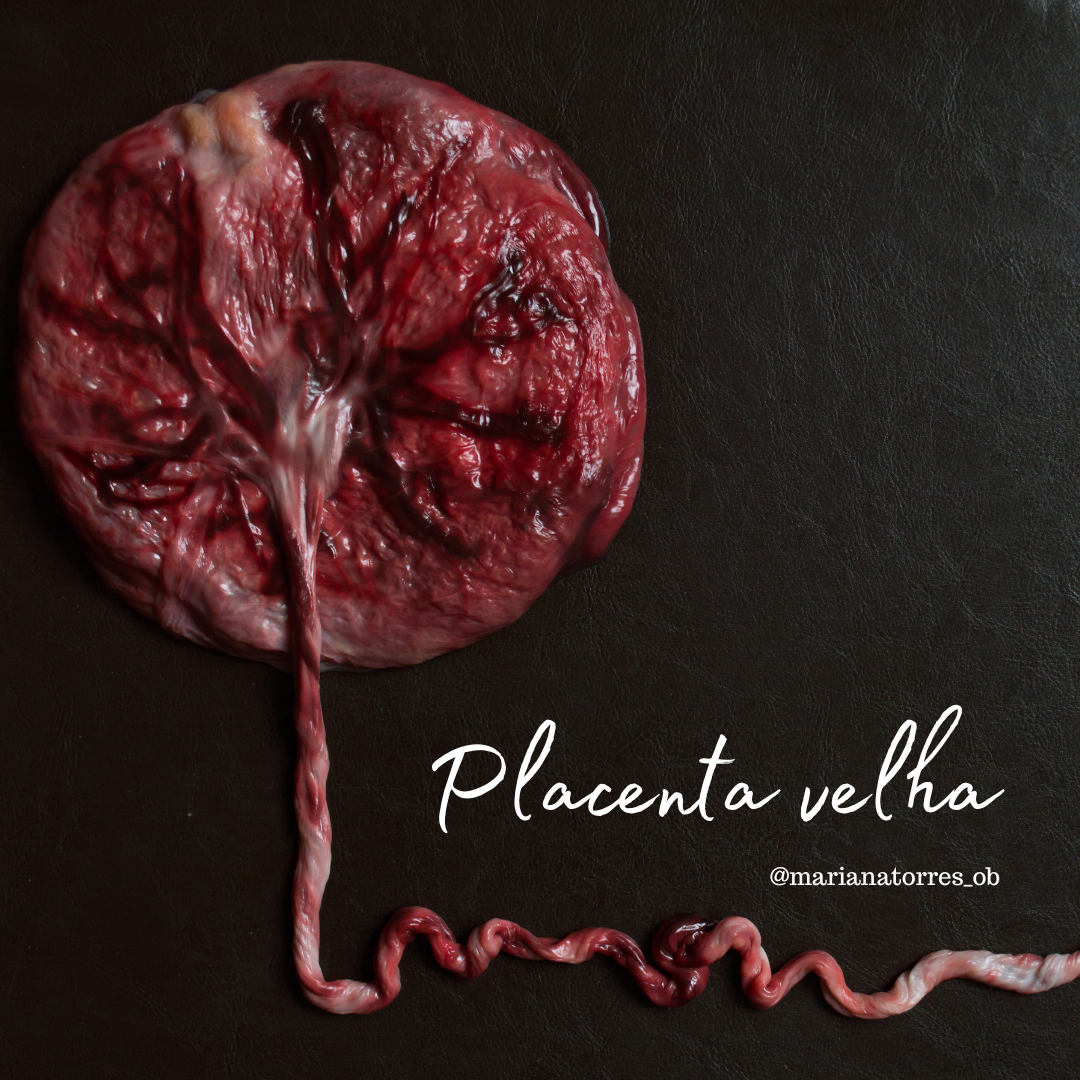Placenta velha