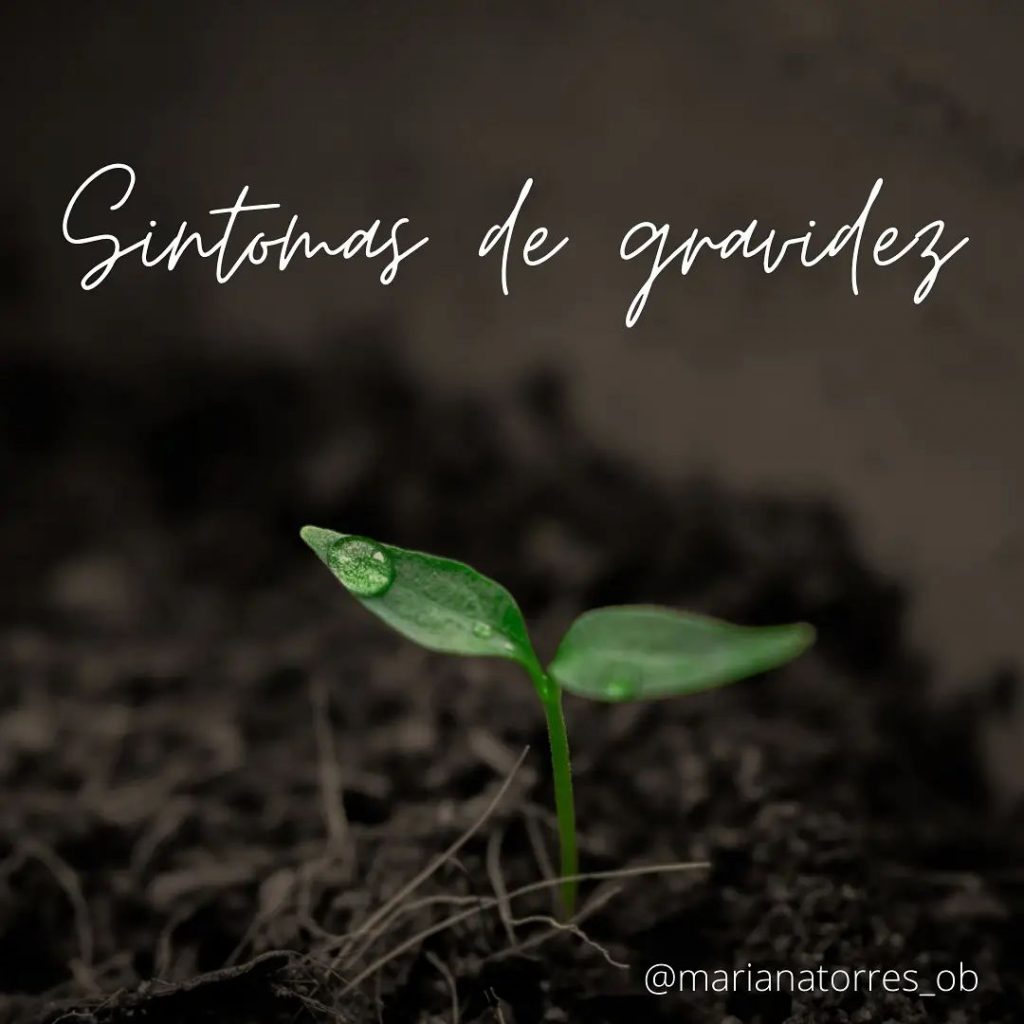 planta a nascer - sintomas de gravidez