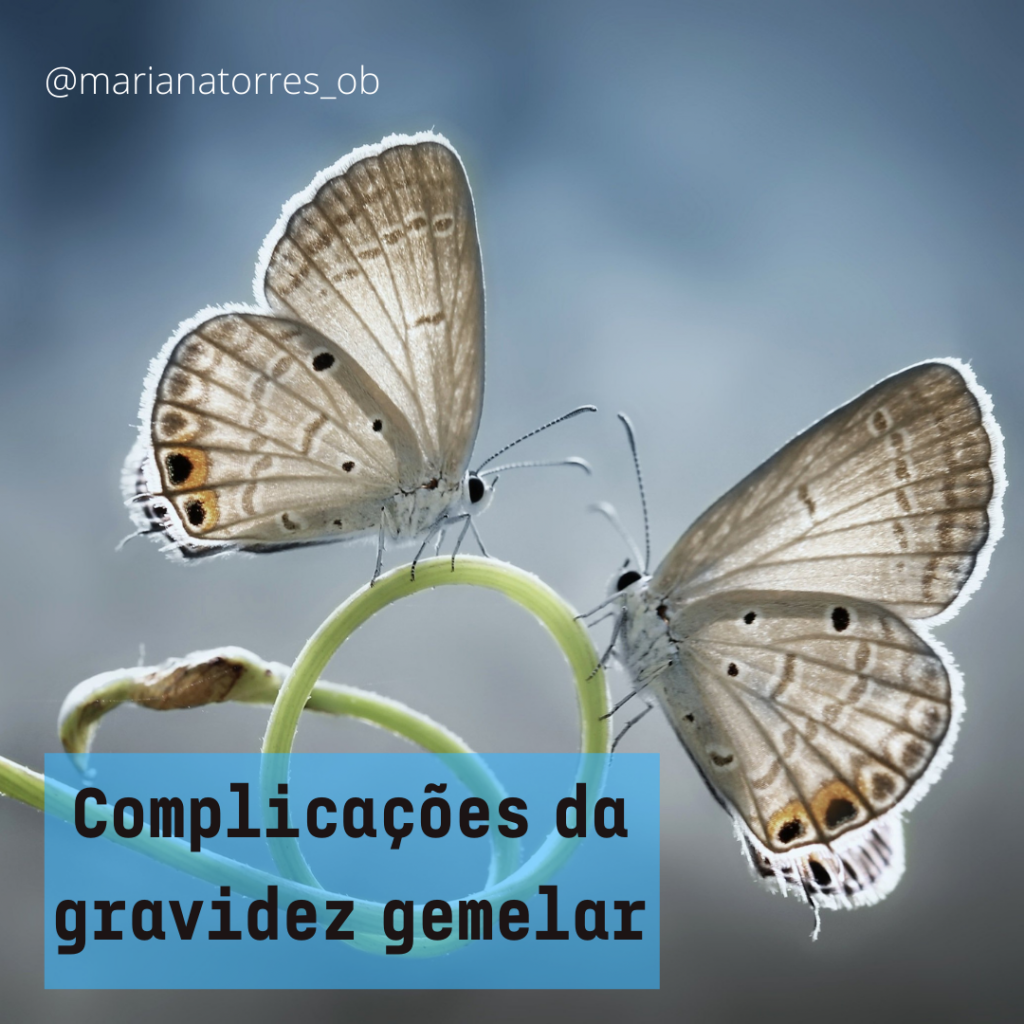 duas borboletas gémeas