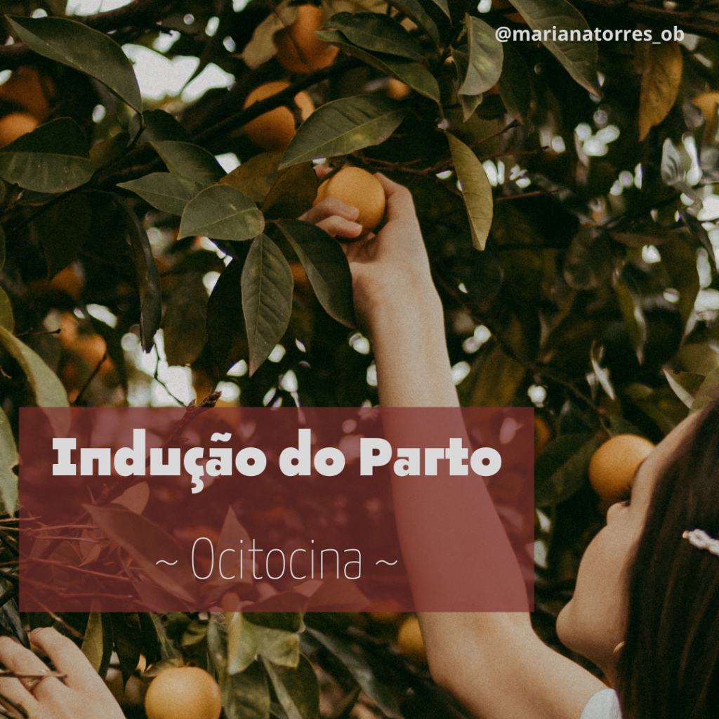 colheita de laranja - indução do parto com ocitocina