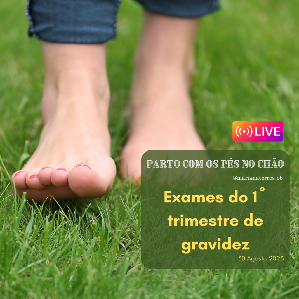 exames do 1º trimestre de gravidez